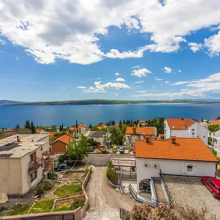 Pavica